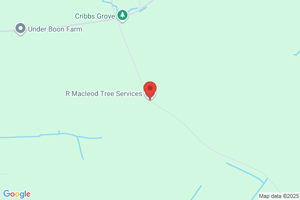 MacLeod Eric Tree & Landscape Service