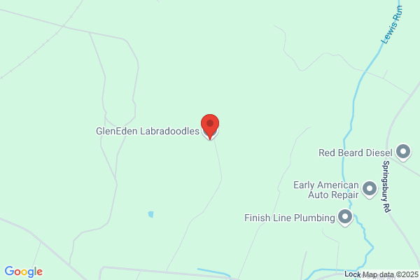 GlenEden Labradoodles