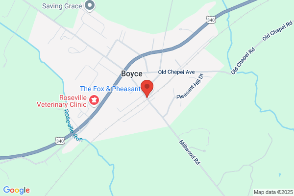 Boyce Town of