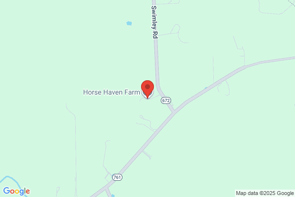 Hawk's Haven Horses