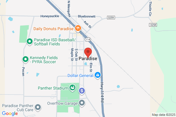 City of Paradise