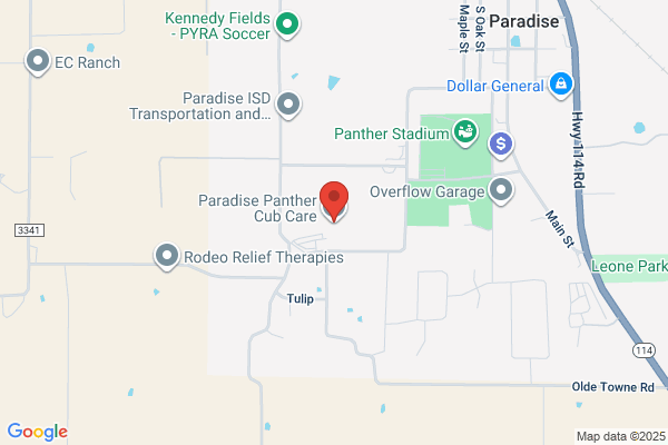 Paradise Panther Cub Care