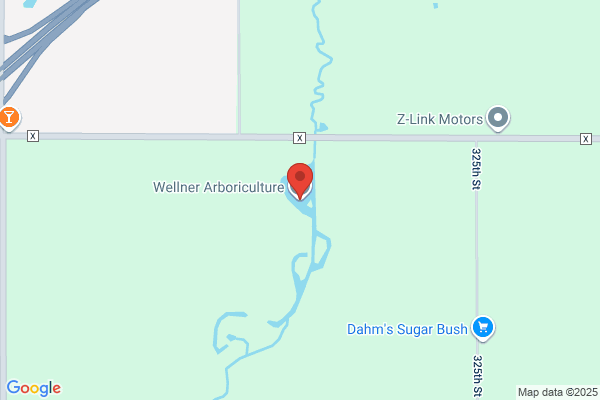 Wellner Arboriculture