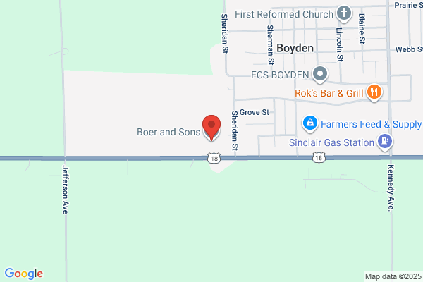 Boer and Sons Inc