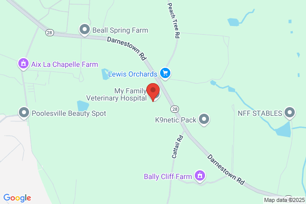 VCA Peachtree Animal Hospital - CLOSED