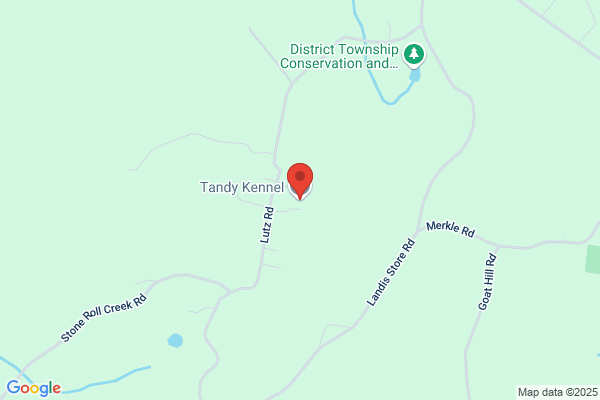 Tandy Kennel