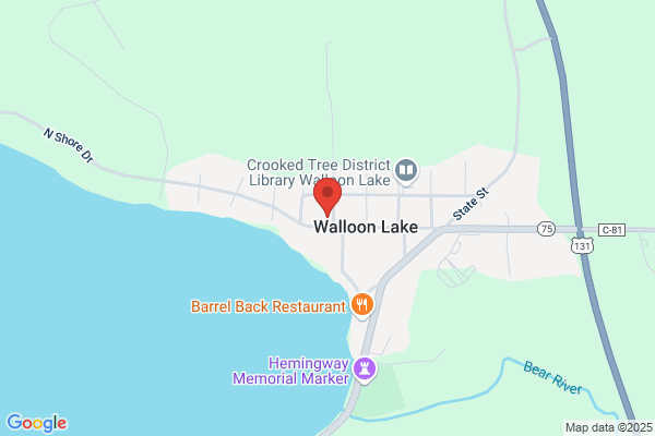 Walloon Lake Water System Inc