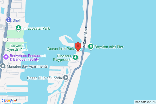 Dolphin Beach