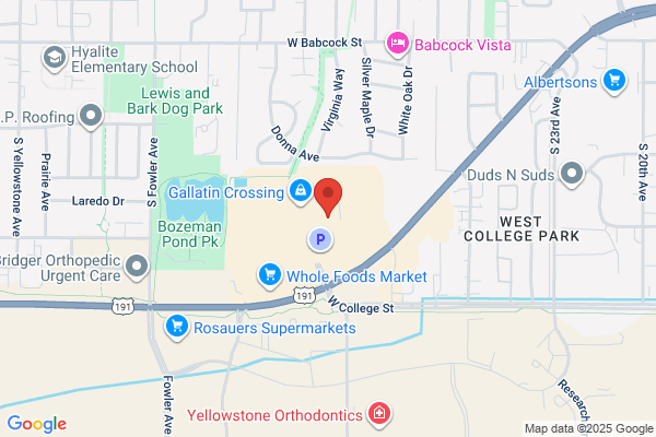 Gallatin Valley Vision
