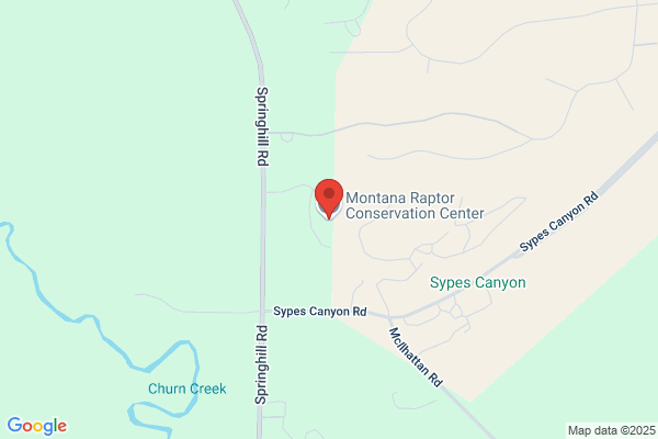 Montana Raptor Center