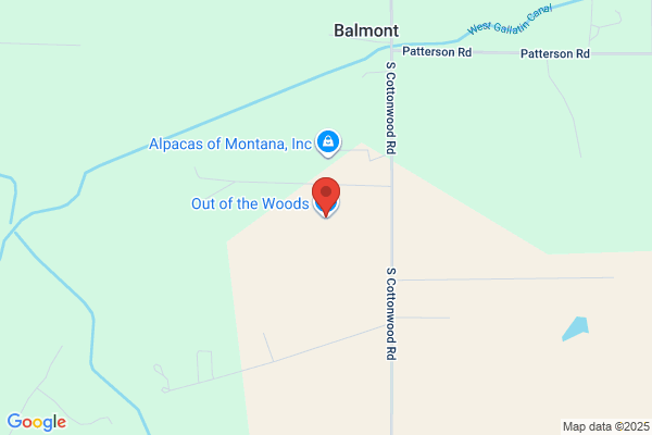 Out of the Woods