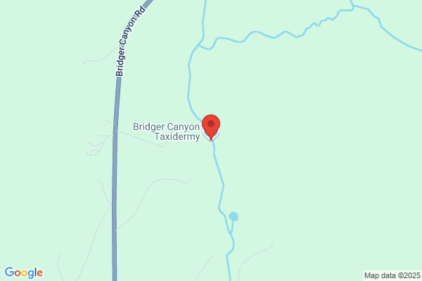 Bridger Canyon Taxidermy