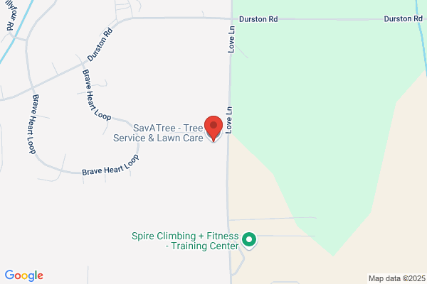 SavATree - Tree Service & Lawn Care