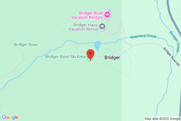 Bridger Pines