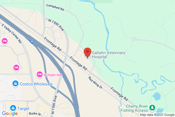 Gallatin Veterinary Hospital