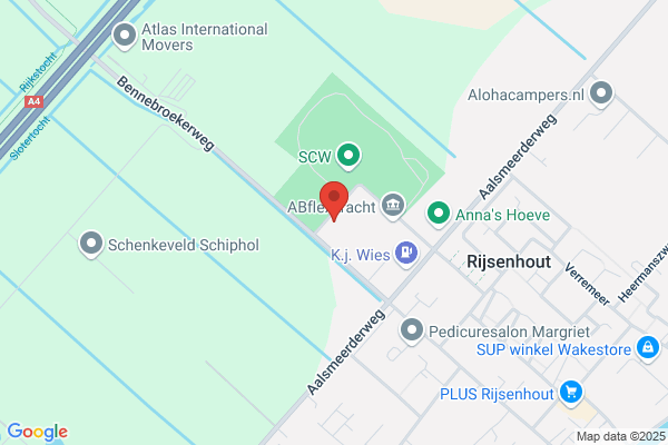 Blue Dolphin Carpet & Upholstery Cleaning