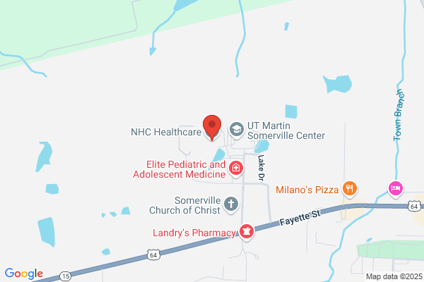 Methodist Alliance Homecare