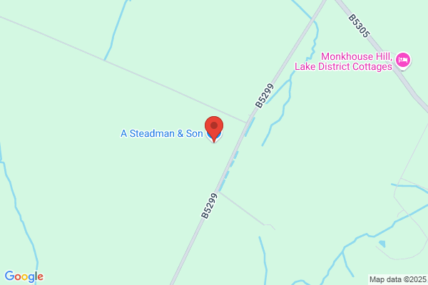 Steadman Roofing