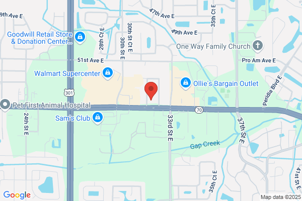 AutoZone Auto Parts