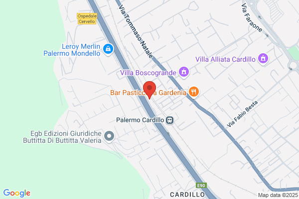 Palermo Limousine Services
