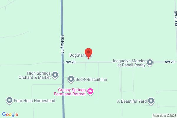 Bradenton DogStars LLC