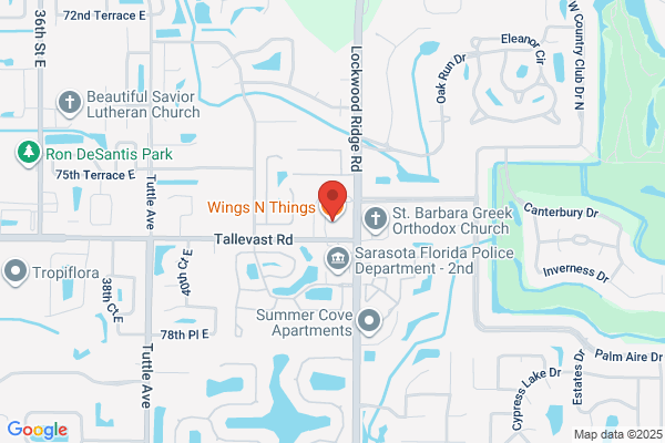 Wings & Things