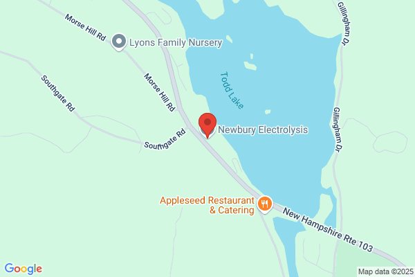 Newbury Electrolysis