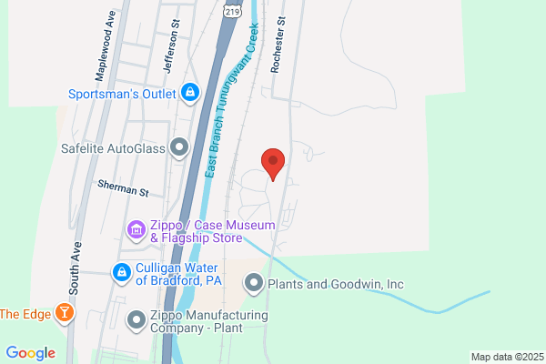 Goodman Services Inc