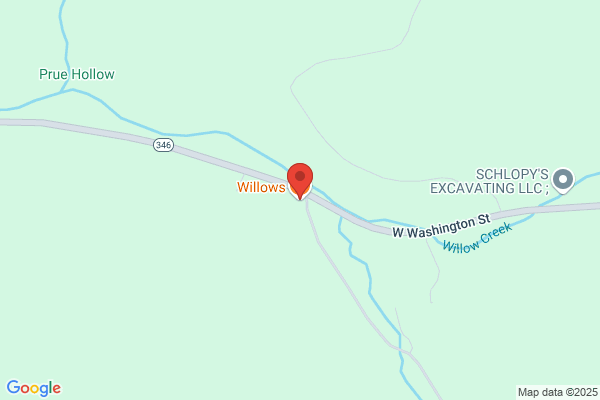 Willows the