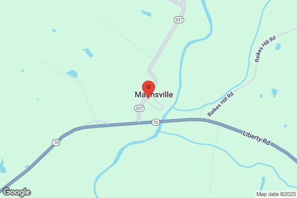 Mannsville Market