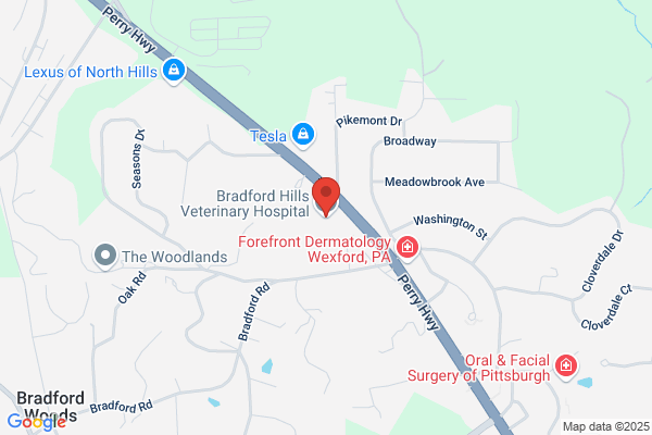 Pittsburgh Veterinary Internal Medicine