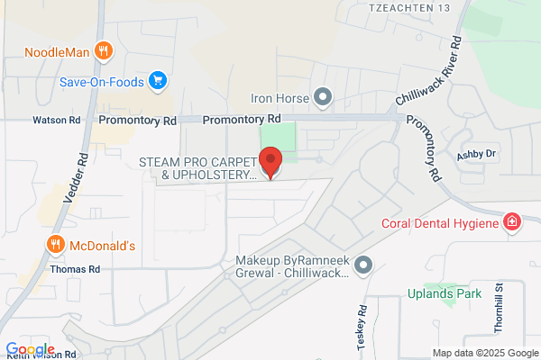 Steam Pro Carpet Cleaning
