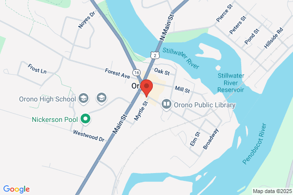Rose Bicycle