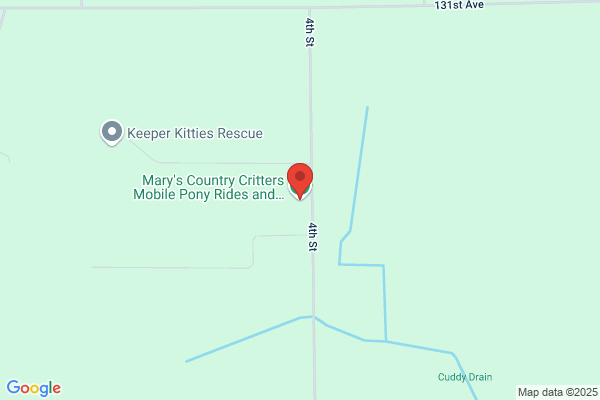 Mary's Country Critters
