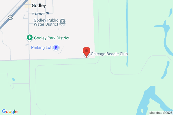 Chicago Beagle Club the