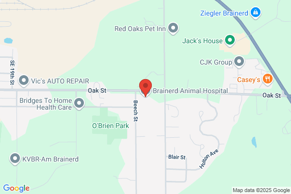 Brainerd Animal Hospital