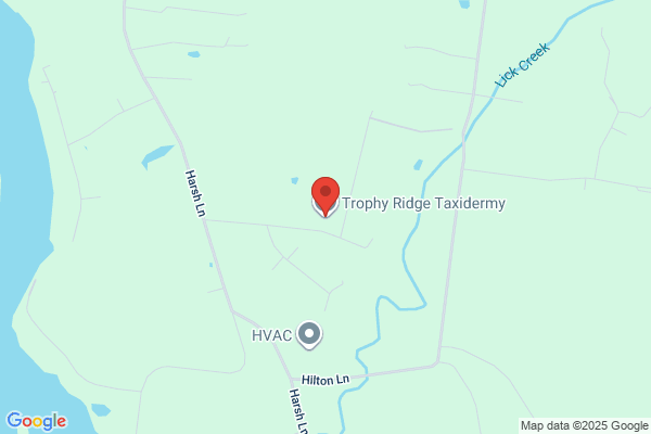 Trophy Ridge Taxidermy