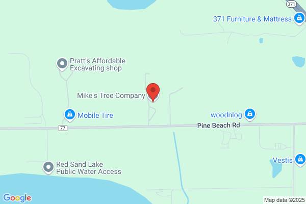 Bement Tree Service
