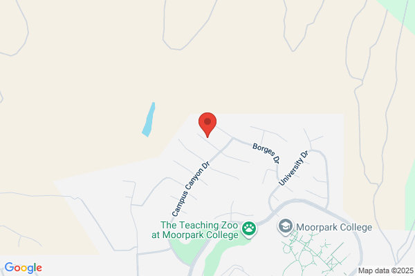 Steven E Carr, MD- Closed
