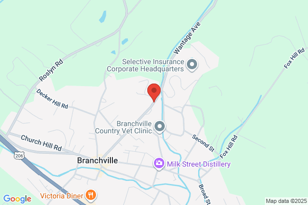 Breezy Valley Pet Sitting Services