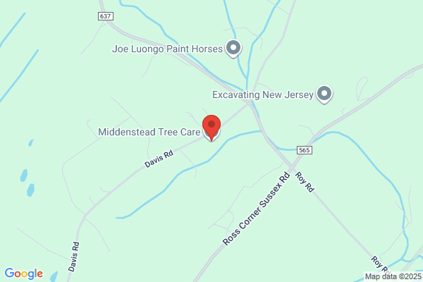 Mountain Man Tree Services