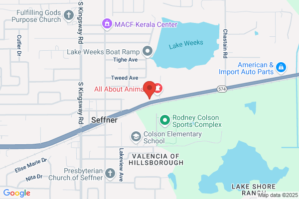 Seffner Animal Hospital