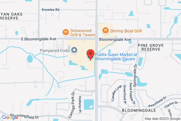 Publix Super Market at Bloomingdale Shopping Center