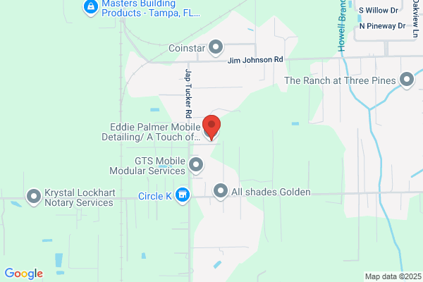 Palmer's Mobile Detailing