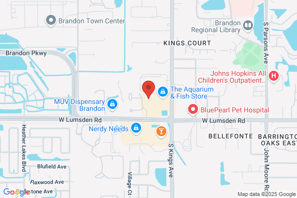 Florida Wedding
