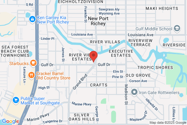 Premier Title Services Inc
