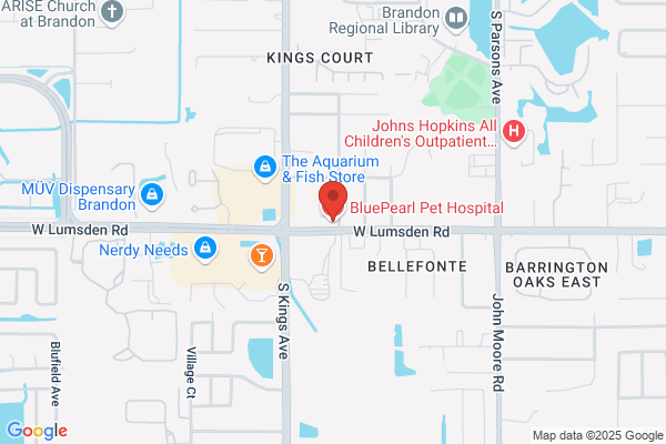 BluePearl Pet Hospital