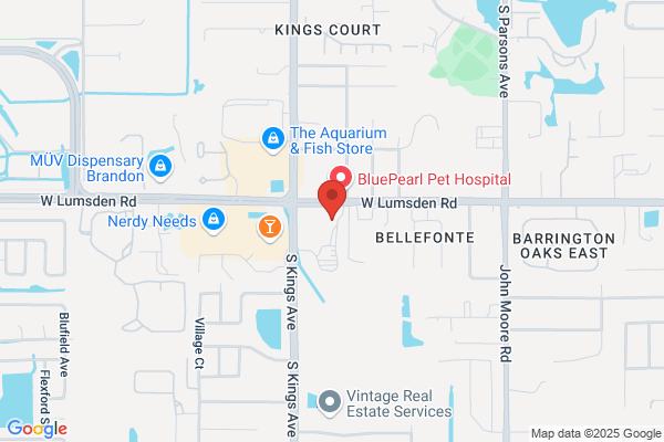 Animal Emergency Clinic of Brandon
