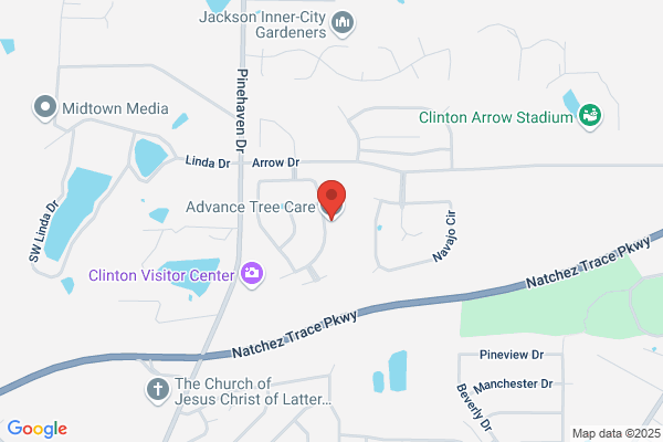 Advance Tree Care