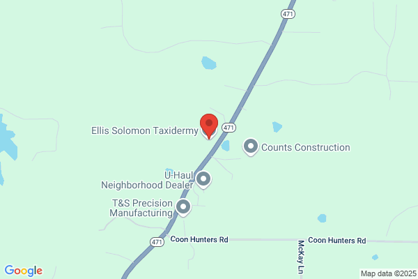 Ellis Solomon Taxidermy Studio & Showroom